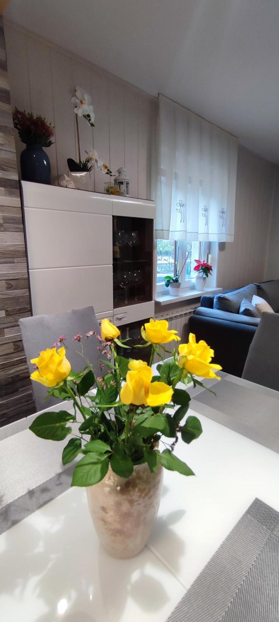 Apartma Soca Oasis Srpenica 외부 사진